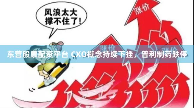 东营股票配资平台 CXO概念持续下挫，普利制药跌停