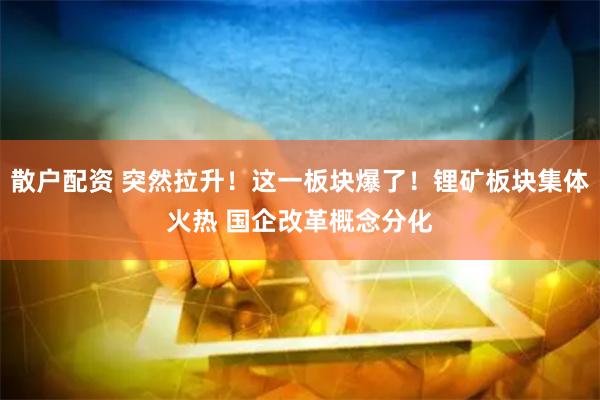 散户配资 突然拉升！这一板块爆了！锂矿板块集体火热 国企改革概念分化